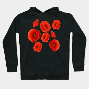 Remembrance Day Hoodie